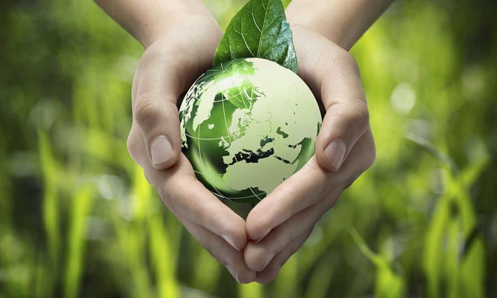 Green Marketing: Promoting Eco-friendly Products in a Sustainable Market